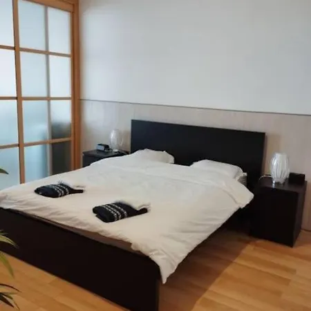 Loft De 130 M2 Avec Et Billard * Брест